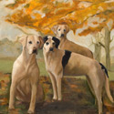 20 by 24 oil on linen